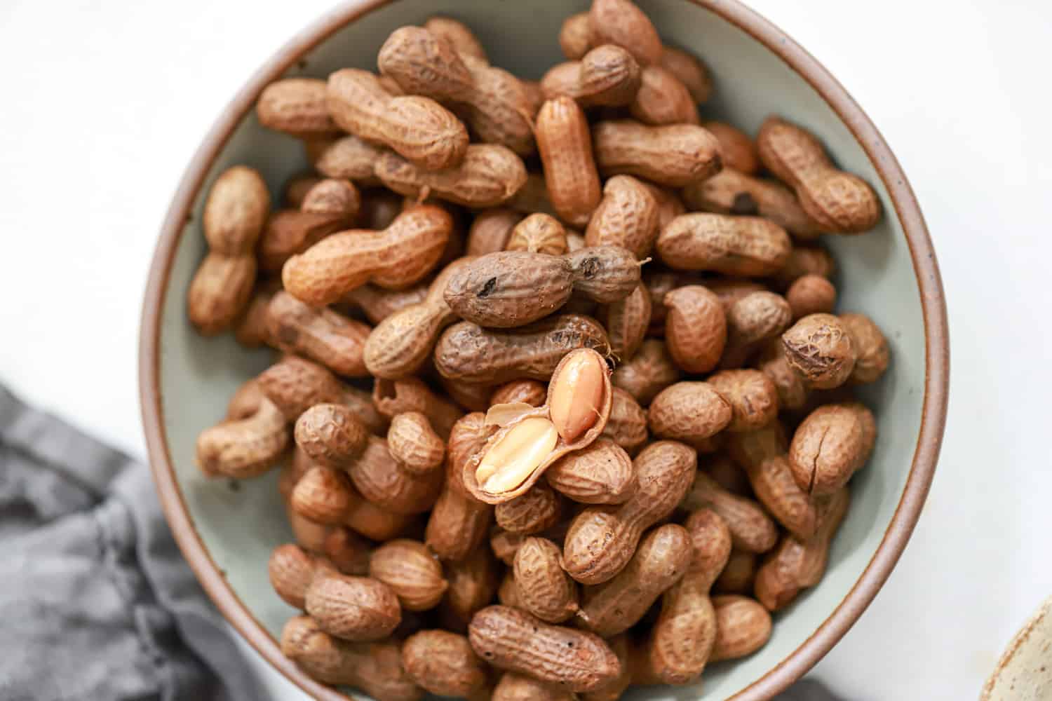 Gray ceramic bowl of boiled peanuts with one peanut shell broken to reveal the inside.