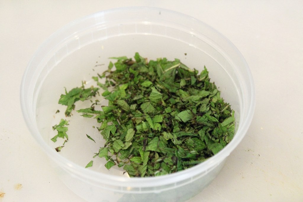 Finely chopped mint