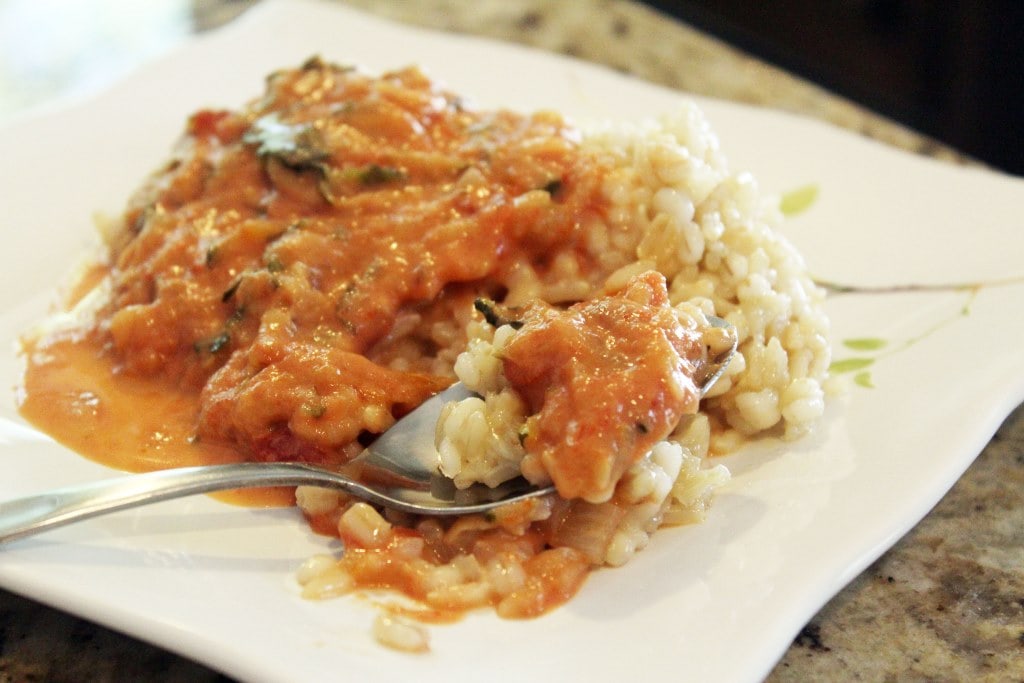 Spoon of sauce and rice