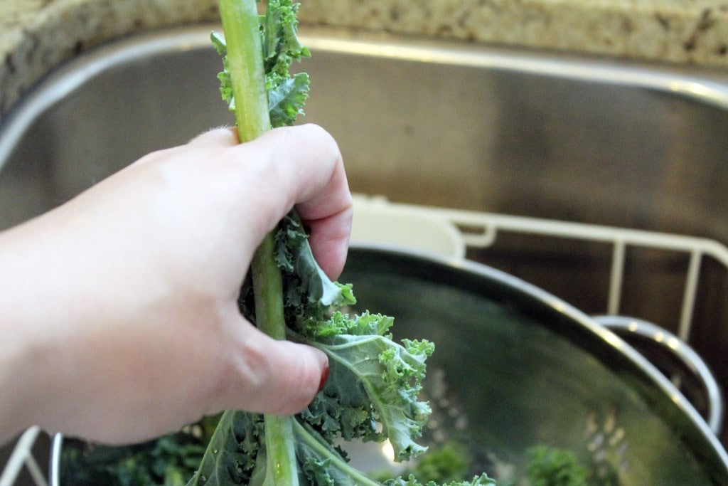 Strip kale from stems