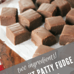 2-Ingredient Peppermint Patty Fudge recipe from funnyloveblog.com