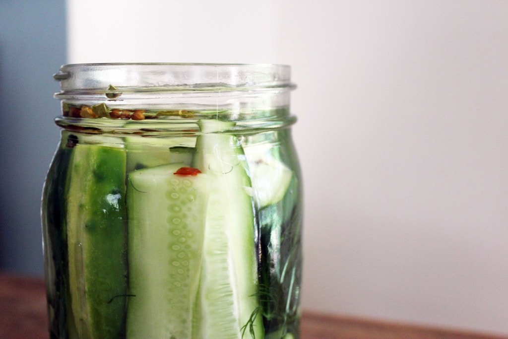 glass jar of refrigerator pickles dill