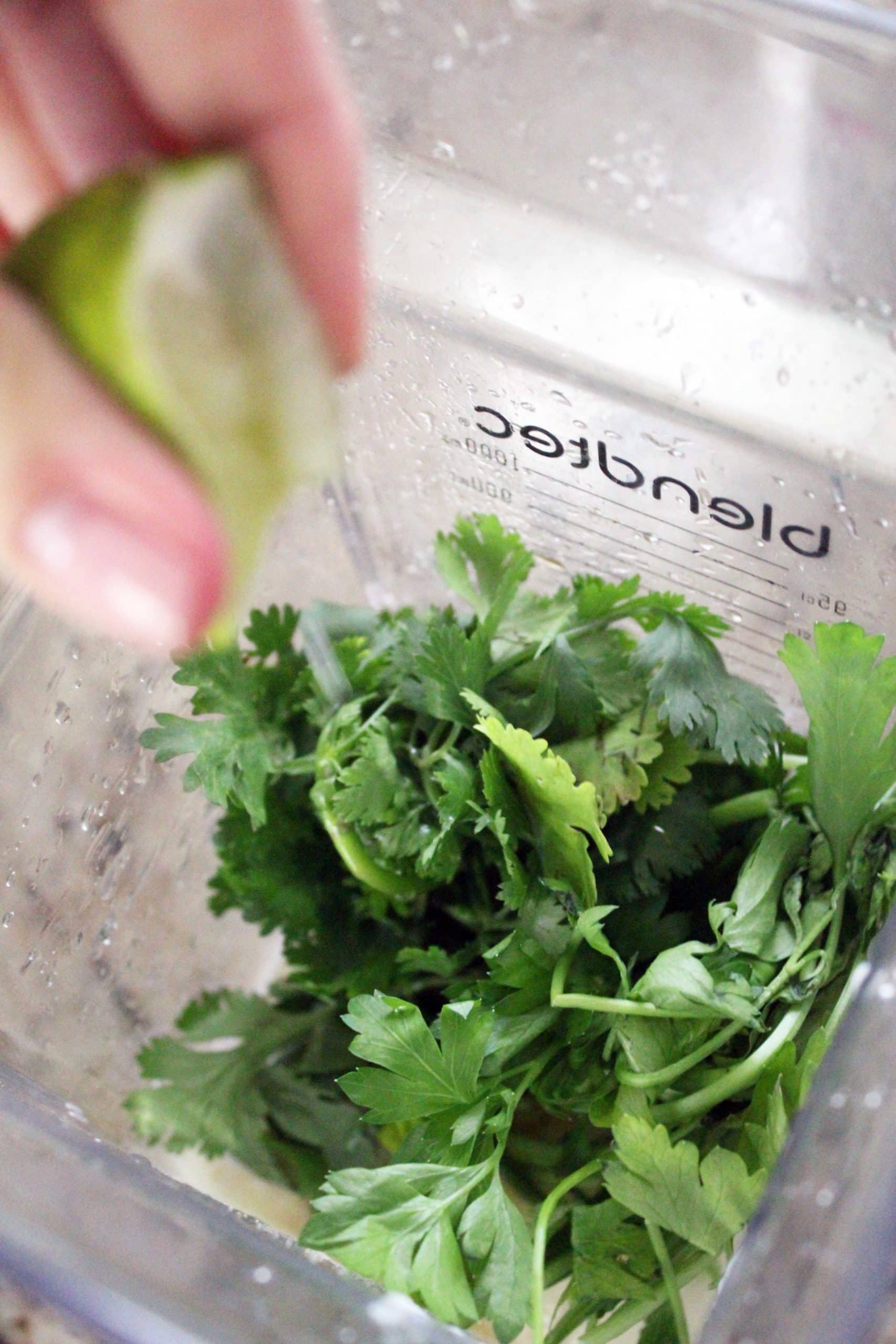 fresh herbs in a bundle at the bottom of blender bowl.