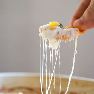 hand scooping cheesy corn dip in air on white background.