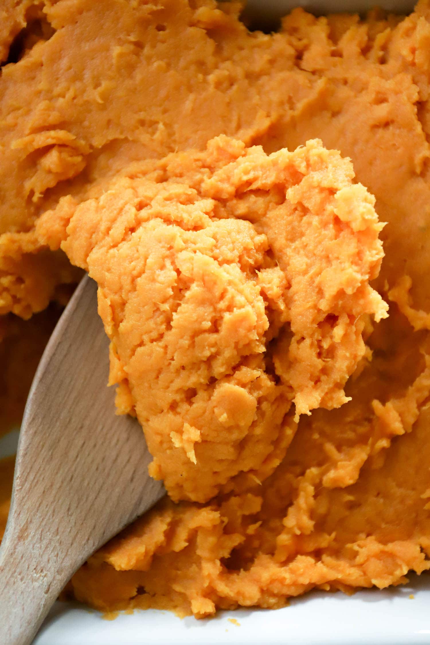 close up spoonful of mashed sweet potato microwaved.