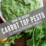 How to make Carrot Top Pesto Recipe by funnyloveblog.com