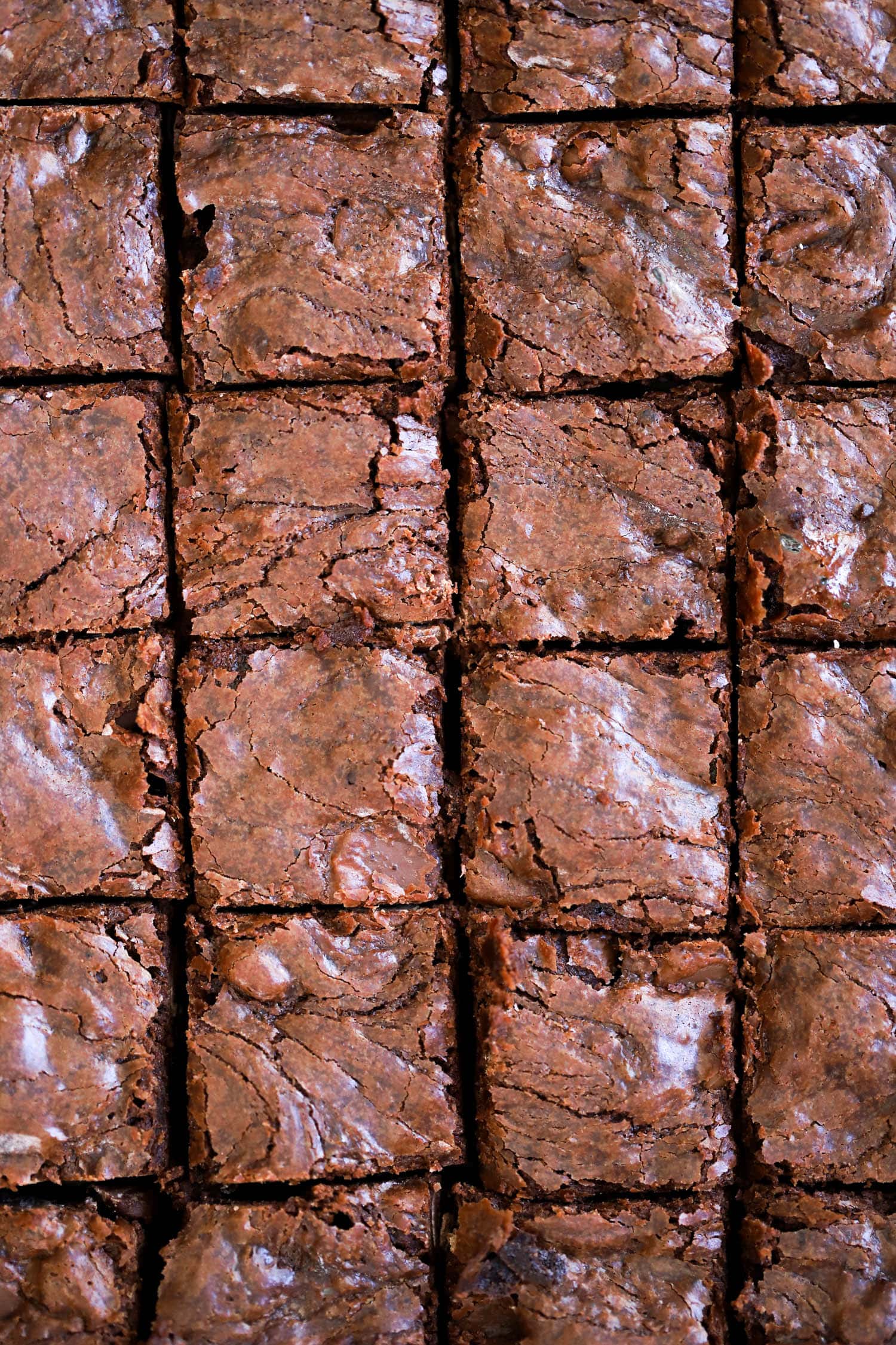 The Best Fudge Brownies