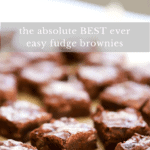 Best ever perfect fudge brownies.