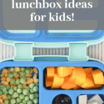 Nut Free Lunch Ideas for Kids No-cook
