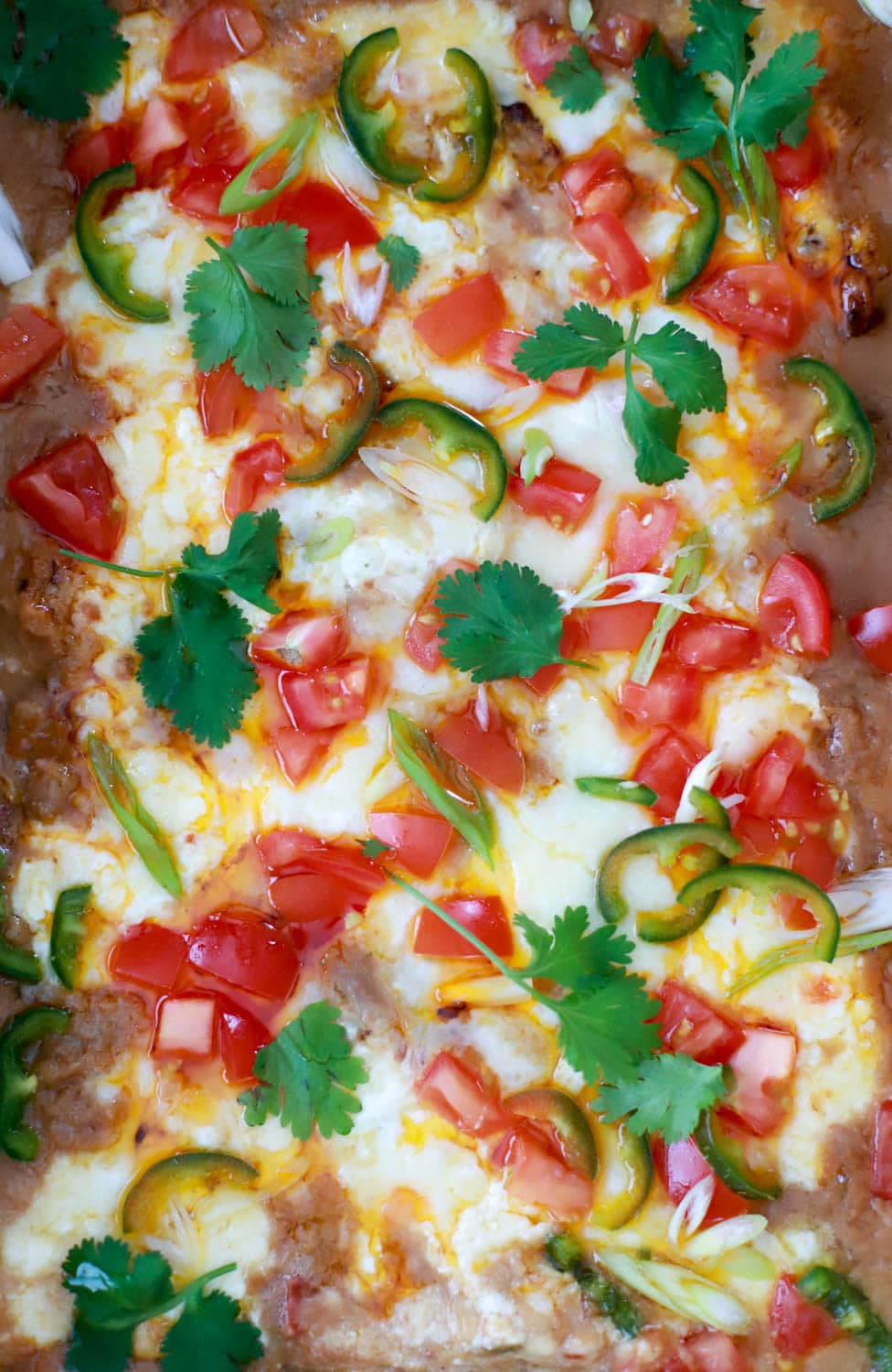 Top view of refried bean dip without cream cheese topped with tomatoes, jalapeno, and cilantro.