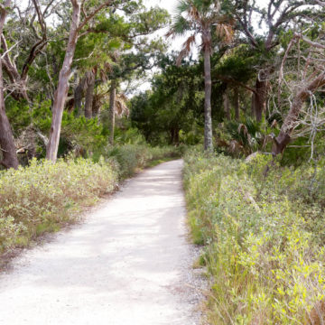 botany bay plantation