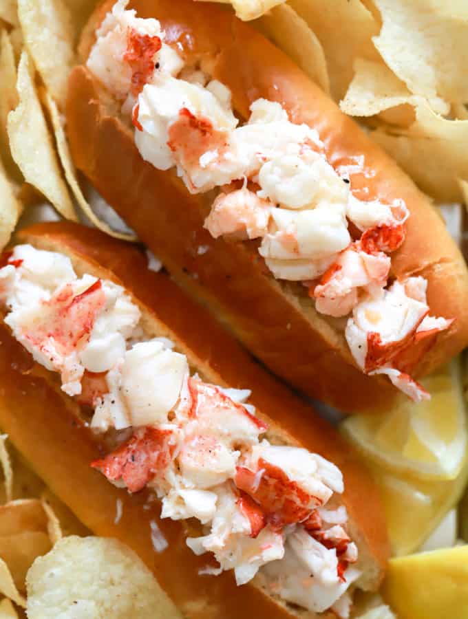 close up two connecticut lobster rolls