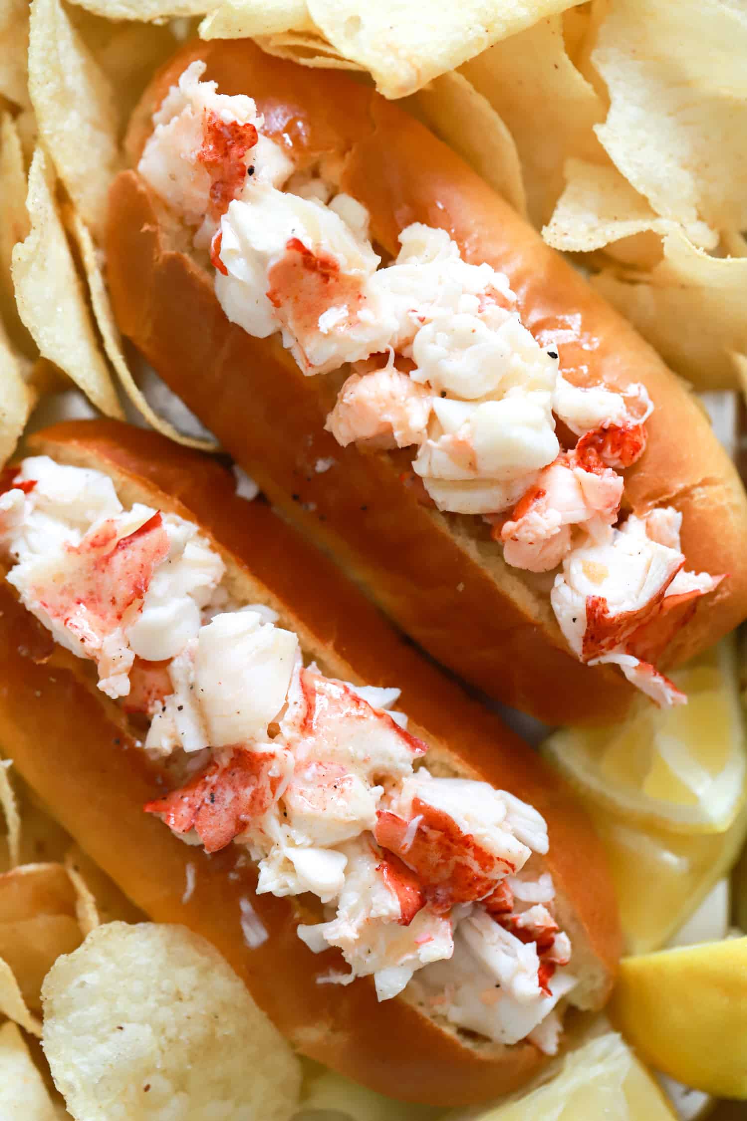 close up two connecticut lobster rolls